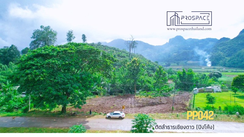 ขายที่ดิน-ติดภูเขา-ลำธารเชียงดาว-จเชียงใหม่