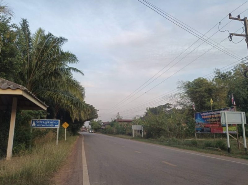 ขายที่ดิน-เนื้อที่-5-ไร่-2-งาน-79-ตรว