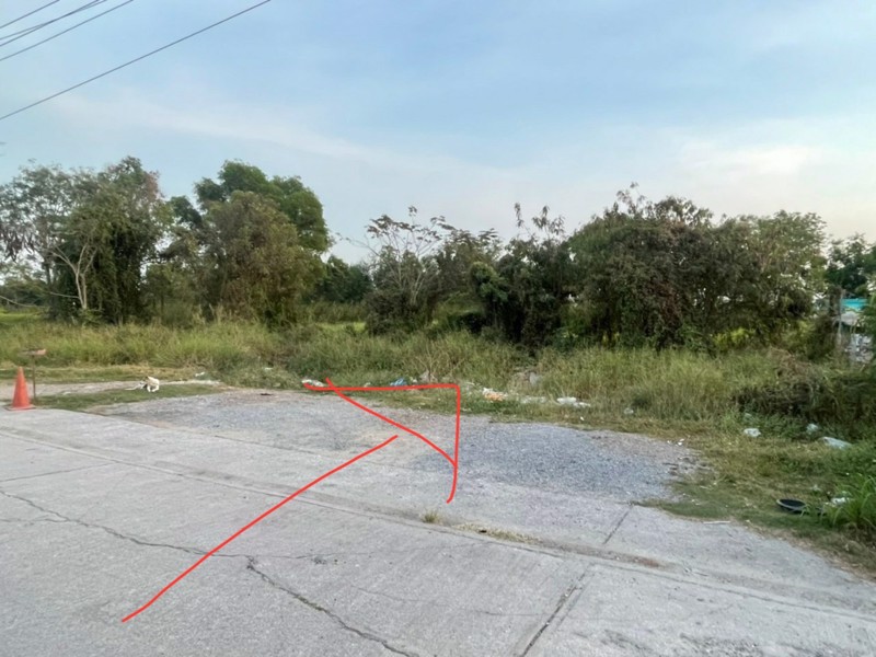 ขายด่วน-ที่ดิน-506-ตรว