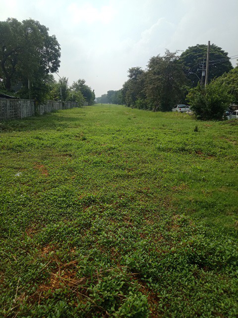 ขายที่ดินทำเลรามคำแหง-ซอย-150