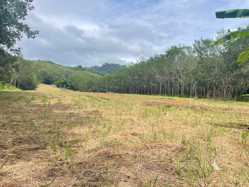 ขายที่ดิน-ติดถนนใหญ่เพชรเกษม