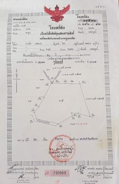 ขายที่นา-ยกแปลง-เนื้อที่-53-ไร่-1-งาน-30-ตารางวา
