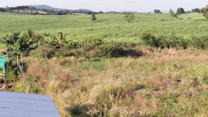 ขายที่ดิน-15ไร่-บนภูเขาบรรยากาศดี-นครราชสีมา-ปากช่อง-วังไทร