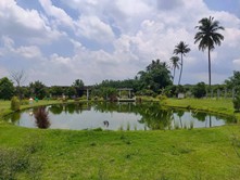 ที่ดินเปล่าใกล้ถนนใหญ๋-1ไร่-1งาน-41ตรว