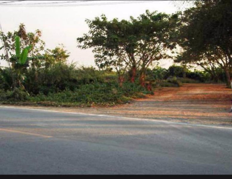 ขายหรือให้เช่าที่ดินเปล่าทำเลดีติดถนนใหญ่ป่าแดด-บ้านธิ ต.ชมภู อ.สารภี เชียงใหม่ ห่างซุปเปอร์ 2 โล