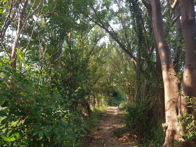 ขายที่ดิน-4-1-88-ไร่-ใกล้บายพาส-ใกล้โฮมโปร-บายพาส