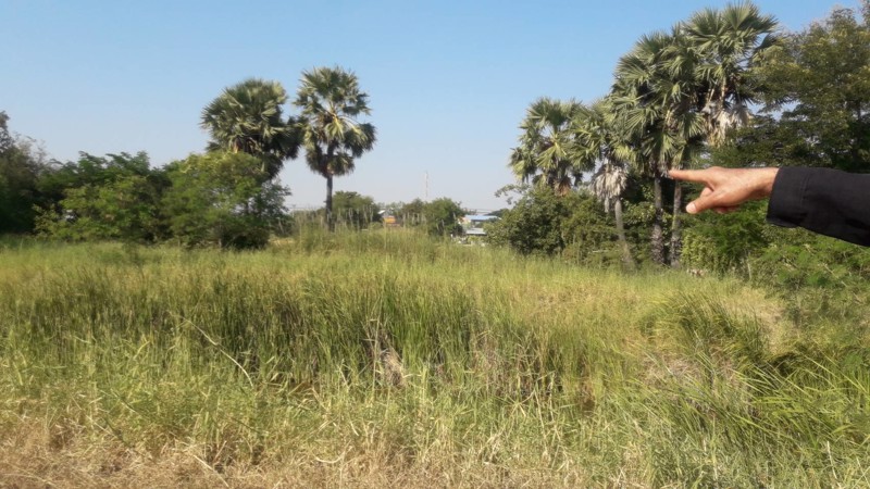 ขายที่นา-28-3-91-ไร่-หลังฮกกี่-เมการ์สโตร์-พิมาย-เพียงไร่ละ-350000-บาท