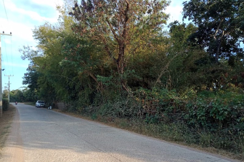 ขายที่สวนทำเลงาม