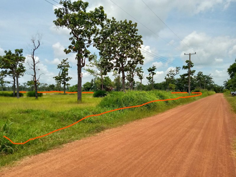 ขายที่นาสวยทำเลงาม