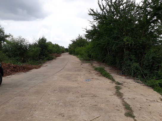 ขายที่ดินท่าตำหนัก-นครชัยศรี-ติดถนนซอย-148-เมตร-ห่างจาก-ถเพชรเกษม-ขาออก-15-กม-เนื่อที่-10-ไร่กว่า