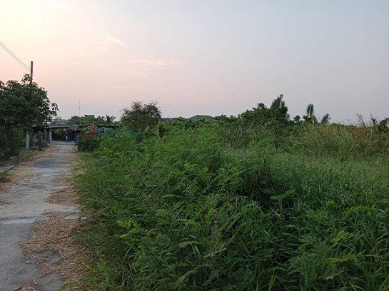 ขายที่ดินทำเลดี-1-ไร่-1-งาน-49-วา-ทุ่งครุ-กรุงเทพ-เชื่อมต่อถนน-ประชาอุทิศ-ครุใน-กาญจนาภิเษก