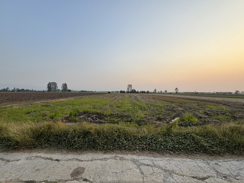 ขายที่ดิน-10ไร่-ตสีบัวทอง-อแสวงหา-จอ่างทอง