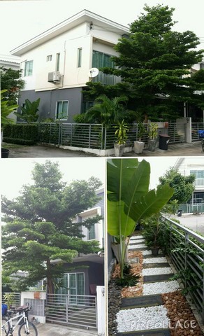 ทาวน์เฮ้าส์ให้เช่า-ใกล้สถานีแอร์พอร์ตลิงค์บ้านทับช้าง-ถนนเฉลิมพระเกียรติ-ร-9-ค่าเช่า18000-ต่อเดือน