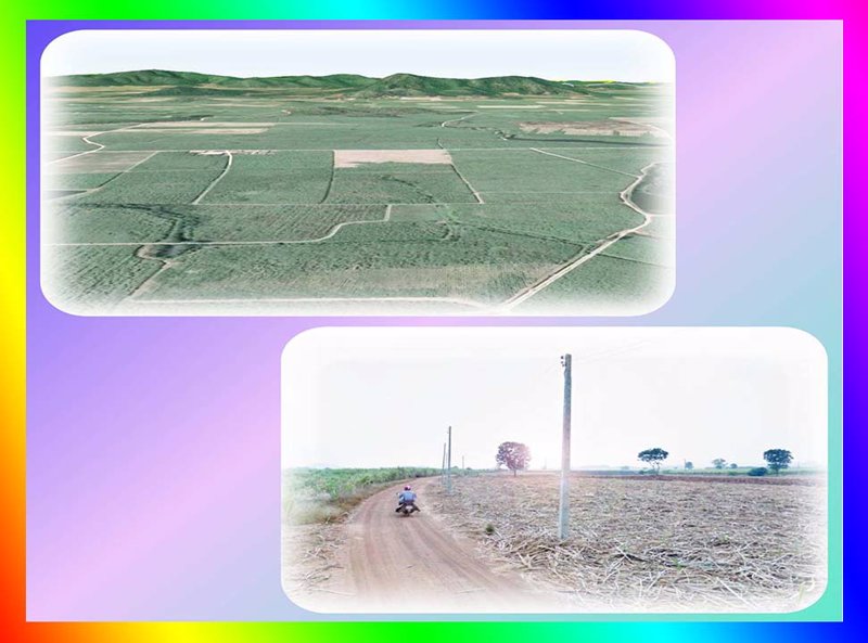 ขายที่ดินแปลงสวย-170-ไร่เศษ-โฉนด-ใกล้แหล่งชุมชน-หนองกวาง-โพธาราม-ราชบุรี