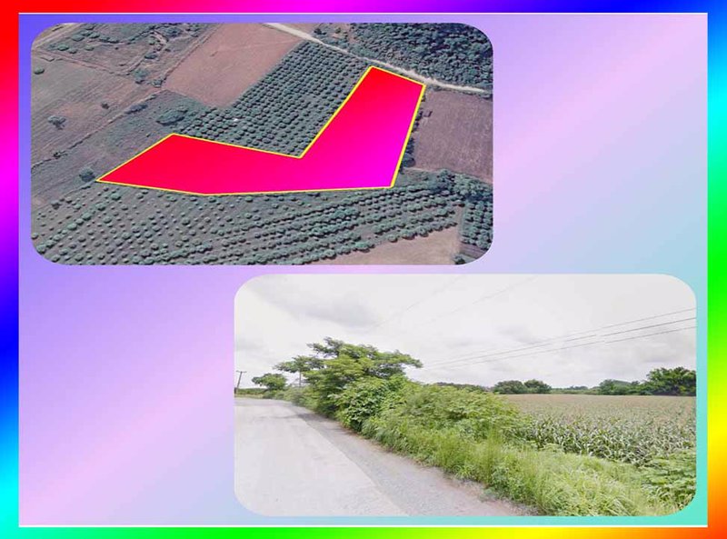 ขายที่ดินแปลงสวย-12-ไร่เศษ-ติดถนนลาดยางอย่างดี-บรรยากาศธรรมชาติ-ใกล้เนินเขา-แก่งคอย-สระบุรี