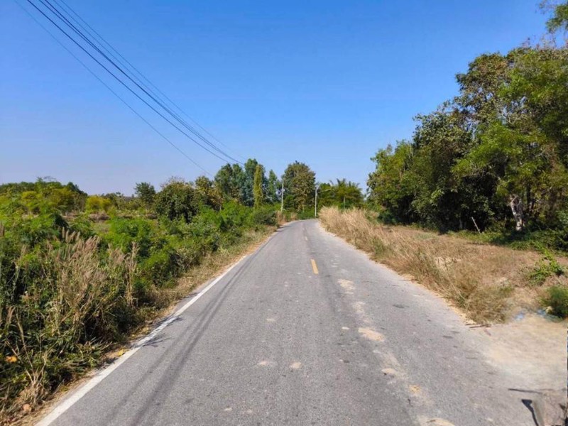 ขายที่ดินพร้อมสวนมะพร้าว-บ้านโสกน้ำขาว-ตหนองไฮ-อำเภอเมืองอุดรธานี