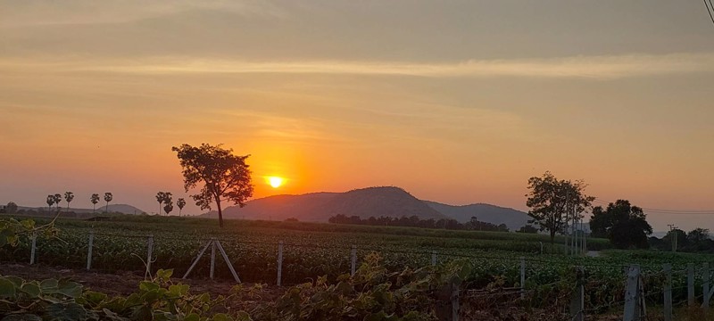 ที่ดินวิวเขาสวย-ราคาถูก-ทำเลดีถมแล้วขายยกแปลง-3ไร่-ล้อมรั้ว