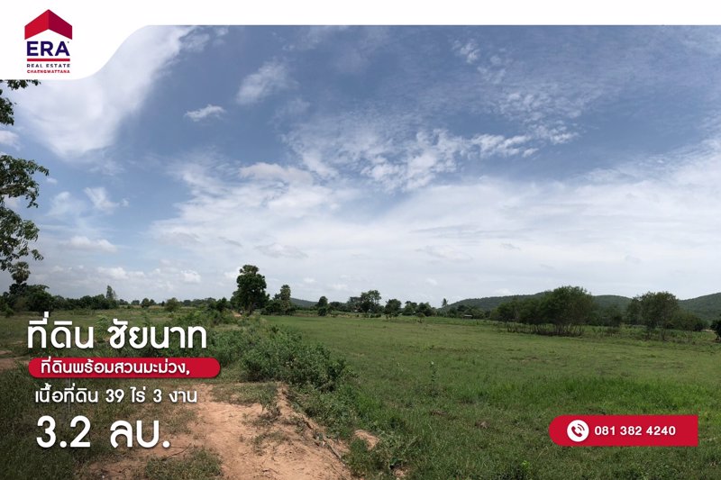 ที่ดินพร้อมสวนมะม่วง-เหมาะทำสวนเกษตร-พันธสัญญา-อ-หันหา-จ-ชัยนาท