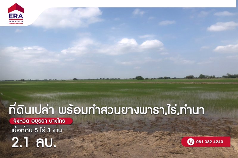 ขายที่ดิน-5-ไร่-3-งาน-94-ตารางวา-อบางไทร-จ-พระนครศรีอยุธยา-พร้อมทำสวนยางพาราไร่ทำนา-พร้อมผู้เช่