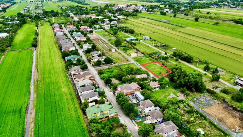 ขายถูก-ที่ดินคลอง5-ขายถูกกว่าราคาประเมิน-ด้านหน้าติดถนน-ด้านหลังติดลำคลอง