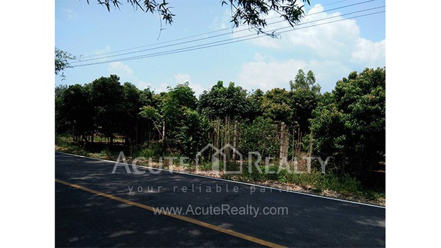 ขายที่ดินเปล่า-อำเภอฝาง-จังหวัดเชียงใหม่-ขนาด-1-0-8-ไร่-อยู่ในแหล่งชุมชน