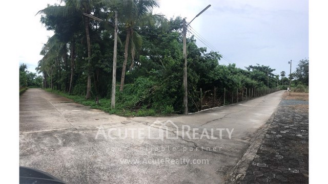 ขายที่ดินเปล่า-แปลงสวย-อสันทราย-เชียงใหม่-ขนาด-3-3-58-ไร่-เดินทางสะดวก