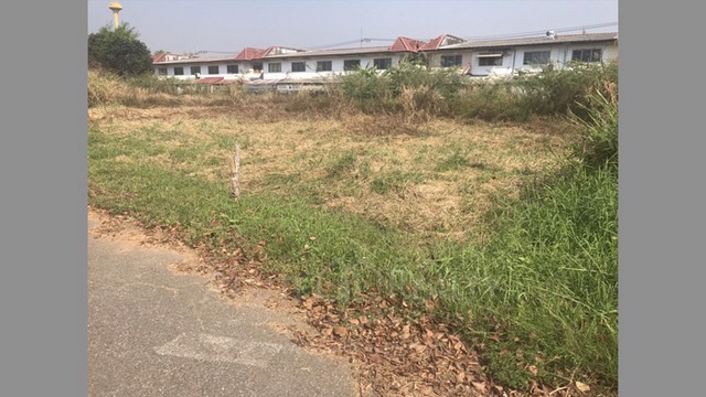 ขายที่ดินตำบลแม่เหียะ-อหางดง-จเชียงใหม่-ที่ดิน-340-ตรว-หน้ากว้างติดถนน-40-ม-ใกล้บิ๊กซีแม่เหียะ