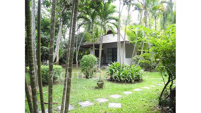 ขายบ้านสไตล์รีสอร์ท-ตน้ำแพร่-อหางดง-จเชียงใหม่-ขนาด-2-2-17-ไร่-พร้อมสวนและสระว่ายน้ำ