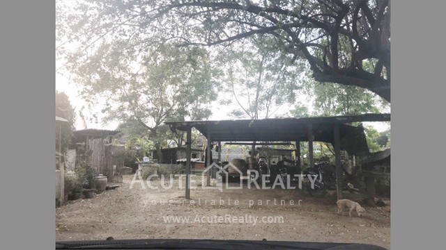 ขายที่ดินเปล่า-ตสันผีเสื้อ-จเชียงใหม่-ขนาดที่ดิน-177-ตรว-ใกล้เซ็นทรัลเฟสติวัล