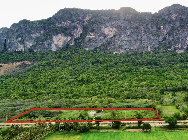 ขายด่วน-ที่ดินแปลงสวย-ติดเขานางพันธุรัตน์-ชะอำ