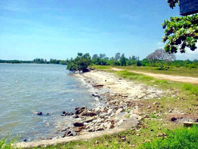 ขายที่ดิน-32-ไร่-ติดชายทะเล-ต-เนินฆ้อ-อ-แกลง-จระยอง-