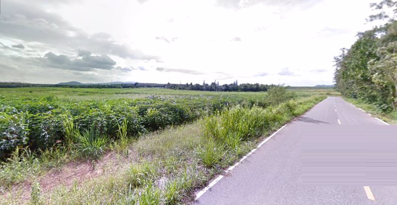 ขายที่ดิน-137-ไร่-ใก้ล้ถนน-344-ใกล้การไฟฟ้าหนองใหญ่-ตห้างสูง-อหนองใหญ่-จชลบุรี