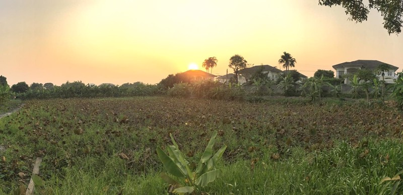 ขายที่ดิน-2-ไร่-ภายในหมู่บ้านมณีรินทร์-ติดริมน้ำ-อเมือง-จปทุมธานี