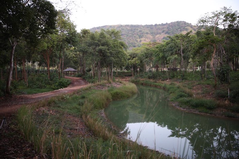 ขายที่ดิน-38-ไร่-ติดเขาใหญ่-ติดน้ำ-พร้อมสวนป่าไม้เศรฐกิจ-อเมือง-จปราจีนบุรี