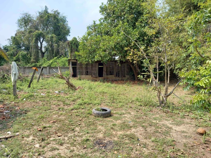 ขายที่ดินเปล่า-100-ตรวๆ-ละ-15000-บาท-ราคาต่ำกว่าราคาประเมิน