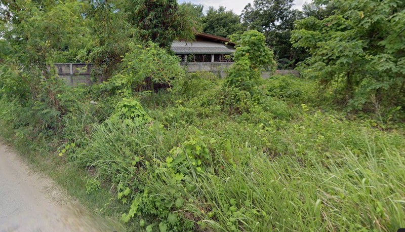 ขายหรือเช่าที่-กลางเมืองเชียงใหม่-ซอยสวนดอกหก-ราคาถูก-ติดถนนคอนกรีต