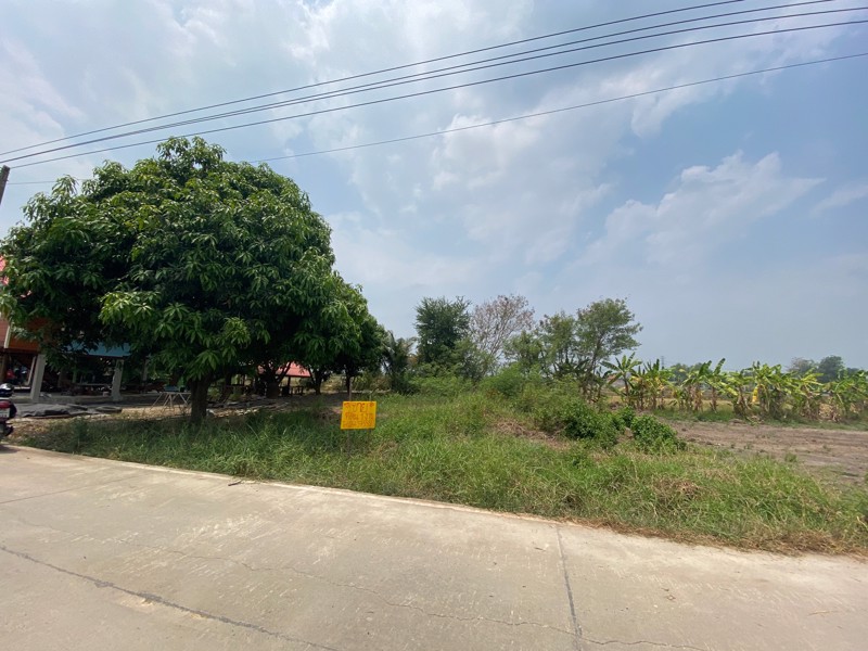 ขายที่ดินใกล้ตลาดน้ำวัดลำพญา