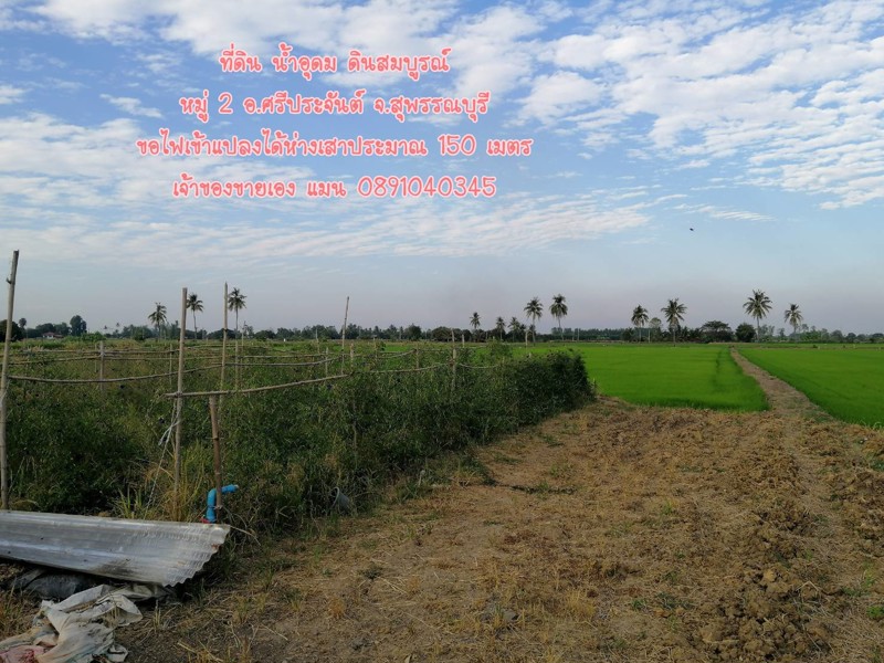 ขายที่ดินราคาถูก-5-ไร่-35-ตรว-ผสมผสานนา-ไร่-สวน-