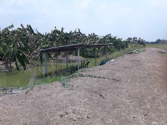 ขายที่ดิน-14-ไร่-อหนองเสือ