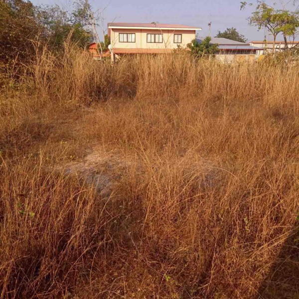 ขายที่ดินเปล่า-1ไร่60ตรว-จยโสธร-อเลิงนกทา