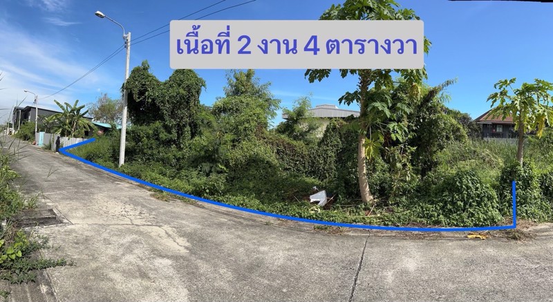 ขายที่ดิน-สมุทรปราการ-ซศรีด่าน-3-6-โซน-ซอยแบริ่ง