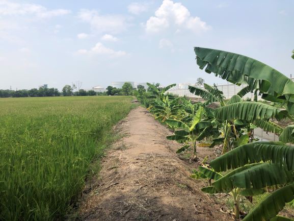 บางกระสั้น-บางปะอิน