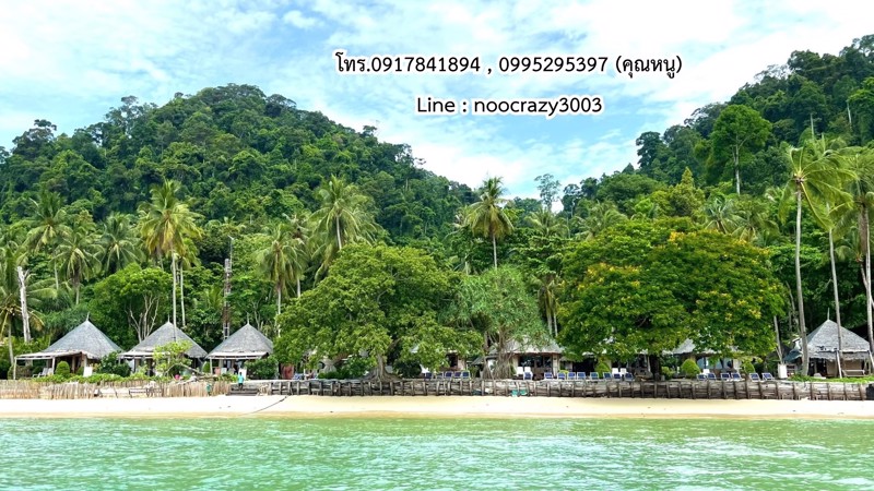 ขายที่ดิน-บนเกาะไหง-ตำบลเกาะลันตาใหญ่-อำเภอเกาะลันตา-จังหวัดกระบี่