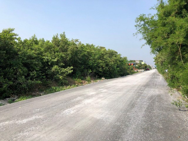 253-011-ให้เช่า-ที่ดิน-แถวบางบัวทอง-เส้นถนนไทรน้อย-บางบัวทอง-20000-บาท