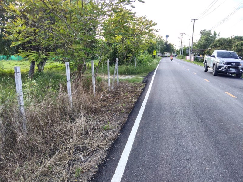 ขายที่ดินเปล่า-ติดถนน-จลำพูน