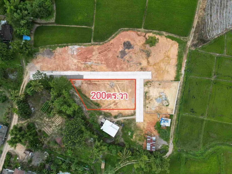 ที่ดินโฉนด-เนื้อที่200ตารางวา-ถมแล้ว-มีไฟฟ้า
