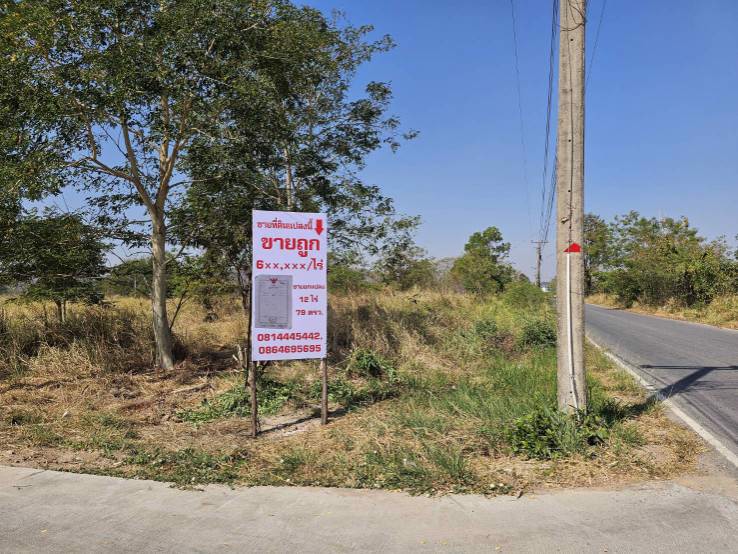 ขายที่ดินติดน้ำติดถนนคอนกรีต-ชำผักแพว-อำเภอแก่งคอย-สระบุรี