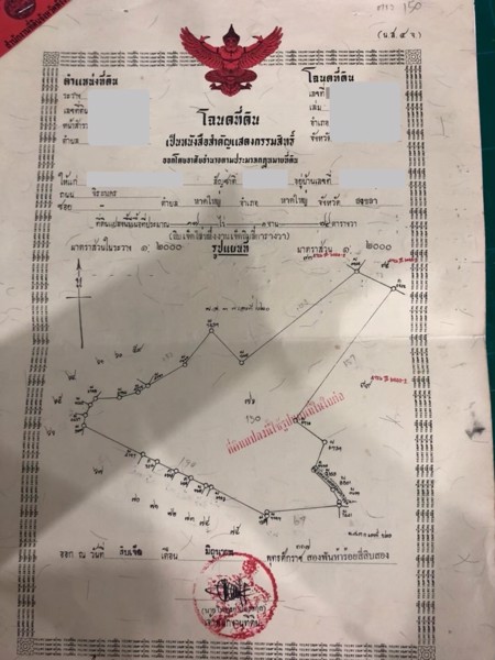 ขายที่ดิน-สวนปาล์ม-15-ไร่กว่า-อ-ทับปุด-จ-พังงา