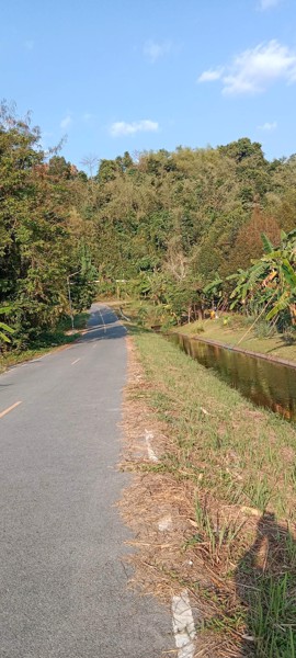 ขายที่ดิน-ขายยกแปลง-เป็นที่สวน-อยู่ที่-ตสาริกา-อเมือง-จนครนายก