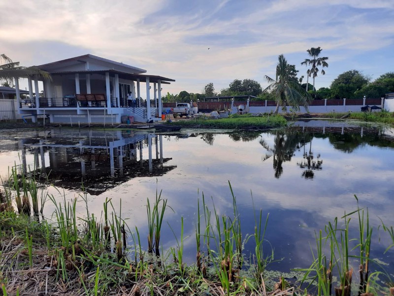 ขายบ้านเดี่ยว-เนื้อที่-1-1-195-ตรว-2-ห้องนอน-2-ห้องน้ำ